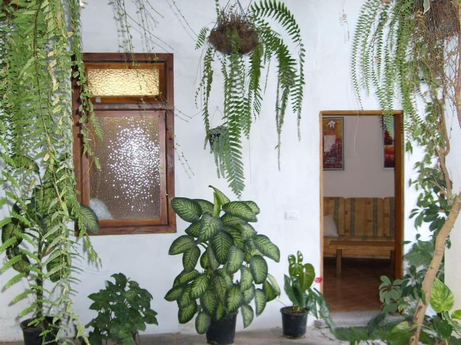 Santa Catalina Preciosa Casa Emblematatica, Piscina,Wifi 빌라 외부 사진