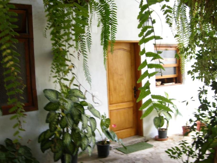 Santa Catalina Preciosa Casa Emblematatica, Piscina,Wifi 빌라 외부 사진